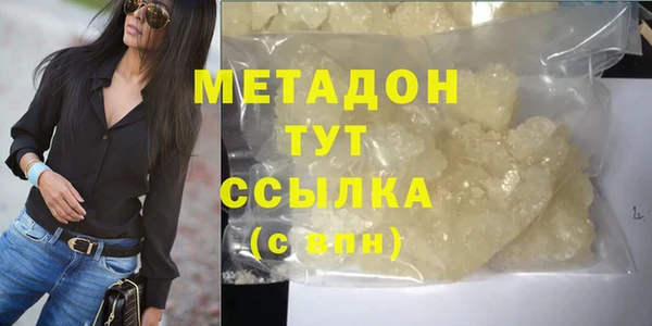хмурый Аркадак