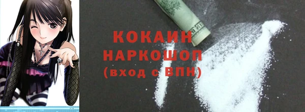хмурый Аркадак