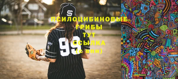 твердый Армянск