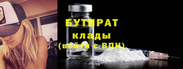 хмурый Аркадак