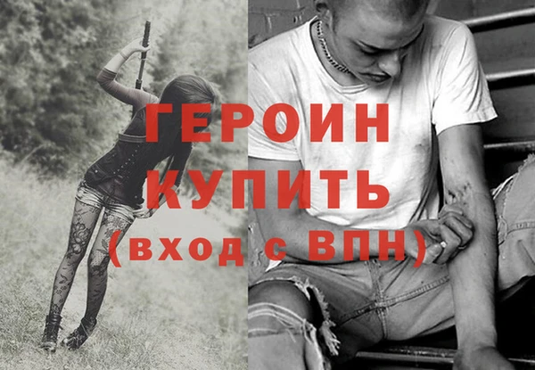 хмурый Аркадак