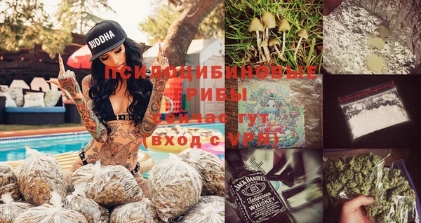 твердый Армянск