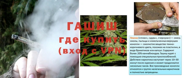 хмурый Аркадак