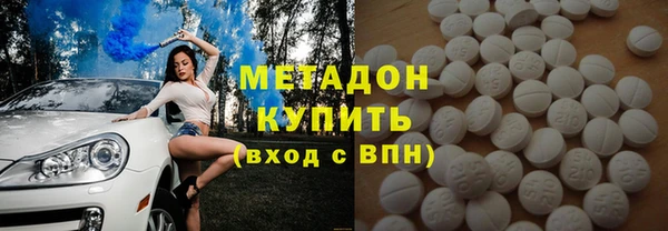 хмурый Аркадак