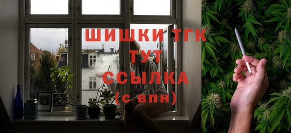 хмурый Аркадак