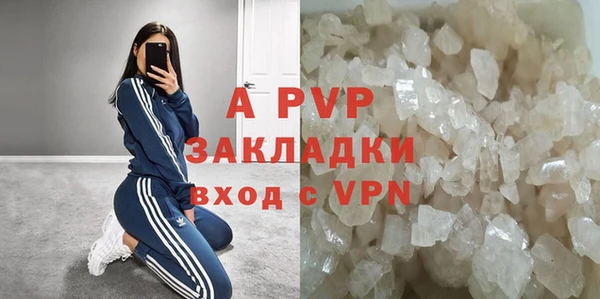 хмурый Аркадак